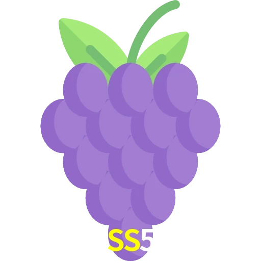 SS5